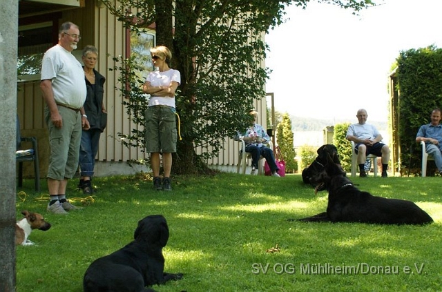 dsc 02083a.jpg