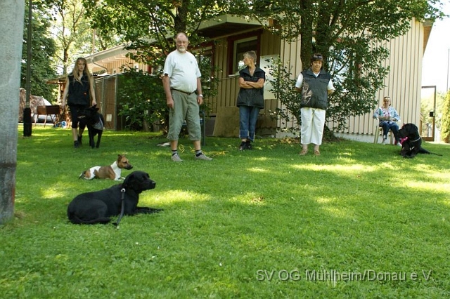 dsc 02085a.jpg