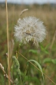 dsc 01849
