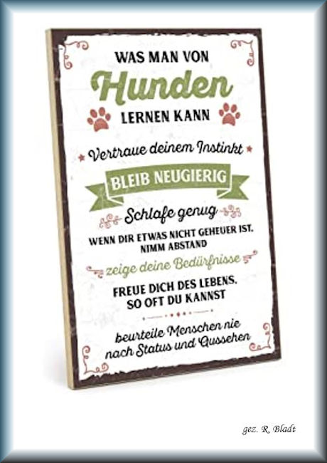 hunde