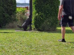 2026_besuch_og_cham_20260613_161606
