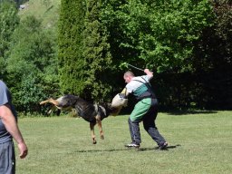 2026_besuch_og_cham_dsc_0056