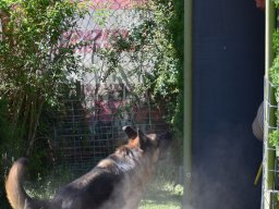 2026_besuch_og_cham_dsc_0165_5