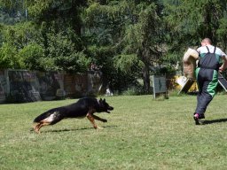 2026_besuch_og_cham_dsc_0649_30