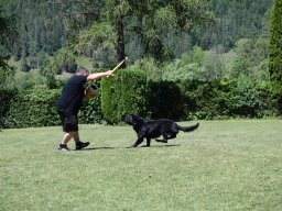 2026_besuch_og_cham_dsc_0732_35