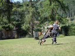2026_besuch_og_cham_dsc_0790_40