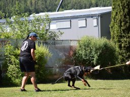 2026_besuch_og_cham_dsc_0867_45