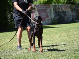 2026_besuch_og_cham_dsc_0871_46