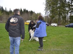 Frühjahrsprüfung 23.04.2016