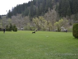 Frühjahrsprüfung 23.04.2016